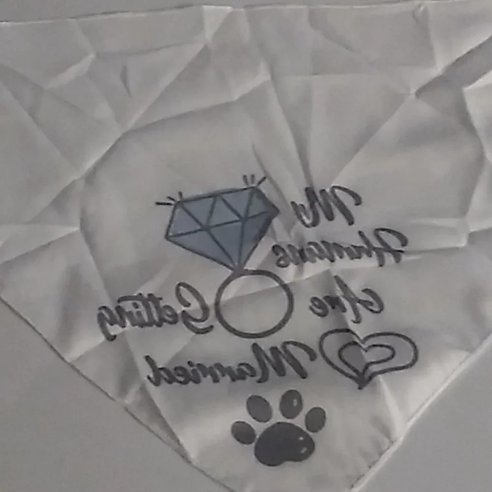 Pet Bandana